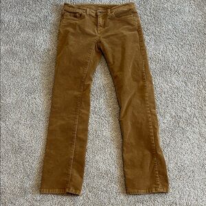 Patagonia Brown Boot Cut Corduroy Pants